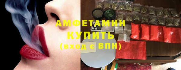 шишки Богородицк